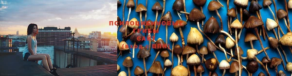 спайс Осинники