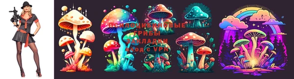 спайс Осинники