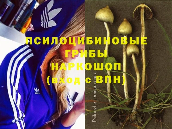 соль ск Нязепетровск