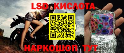 бошки Бийск