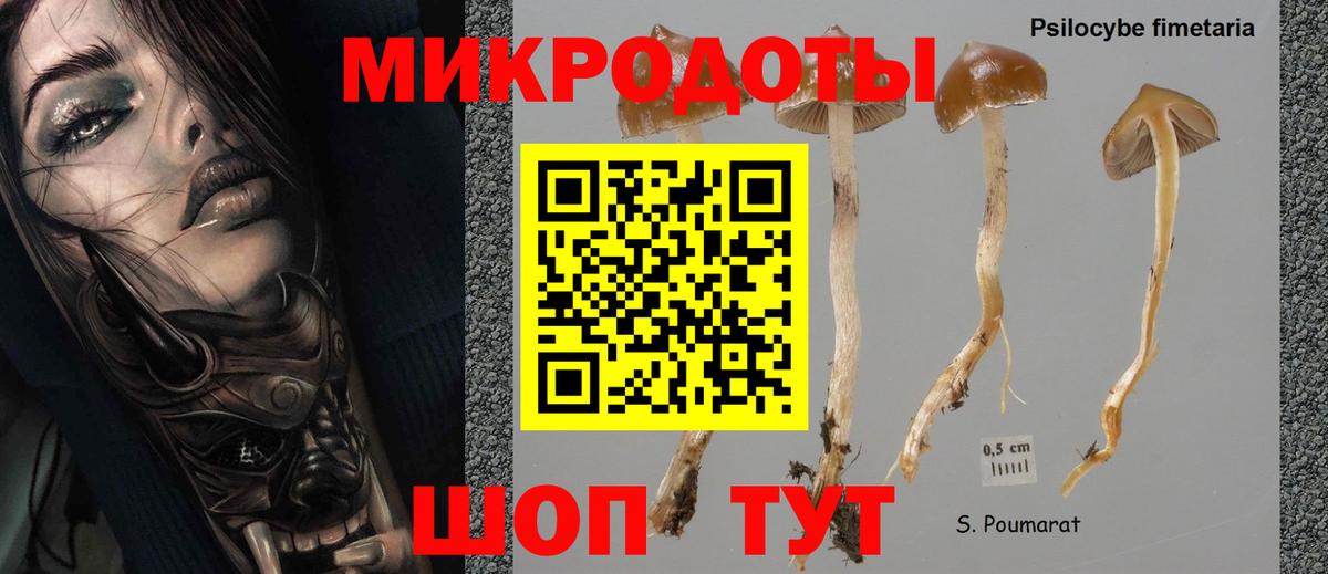 Галлюциногенные грибы ЛСД  где купить наркотик  Кропоткин  Вход с VPN 