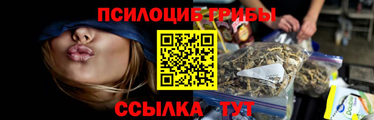 Псилоцибиновые грибы Psilocybine cubensis Кропоткин