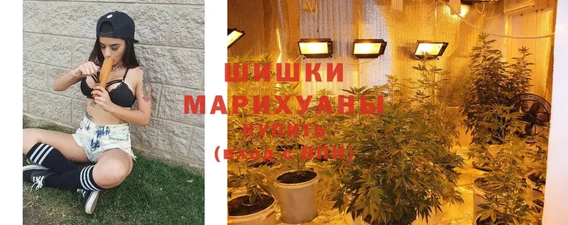 Каннабис White Widow  Кропоткин 